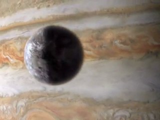 animaux des profondeurs (3/6)