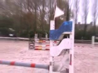 concours club 1 a auvers avec estoriac et darling