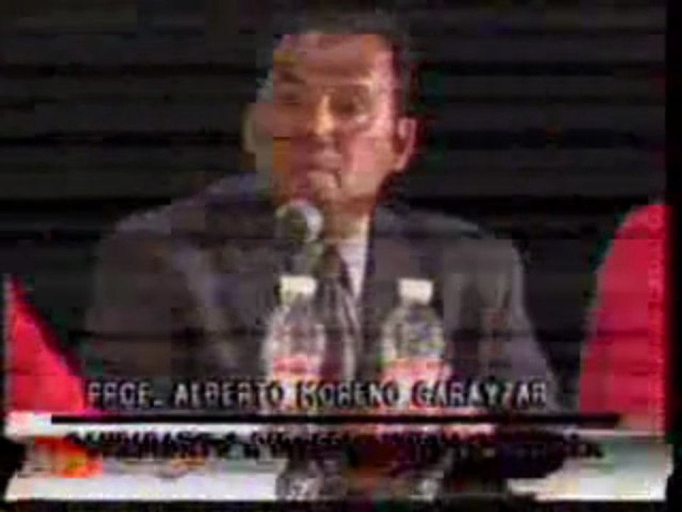 090617-10 replica candidato panal