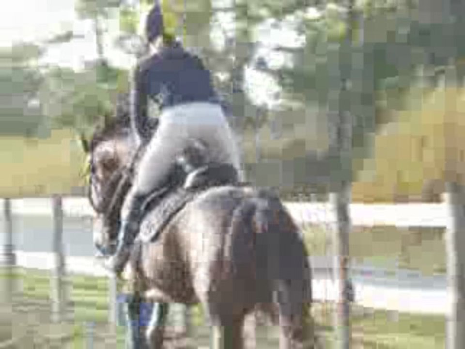 Silhouetting qui a la forme !!