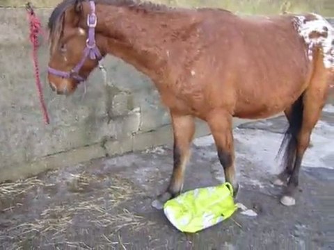 re mon bebe mon nounours mon ti lou etc...