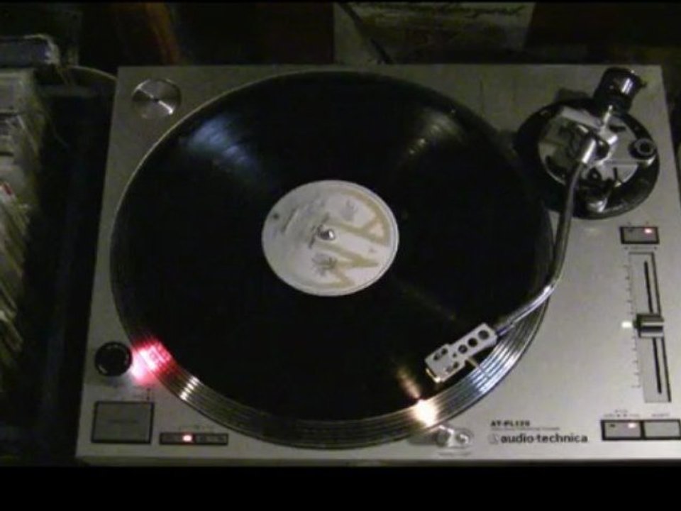 The Europeans - The Animal Song (Vinyl Cut)