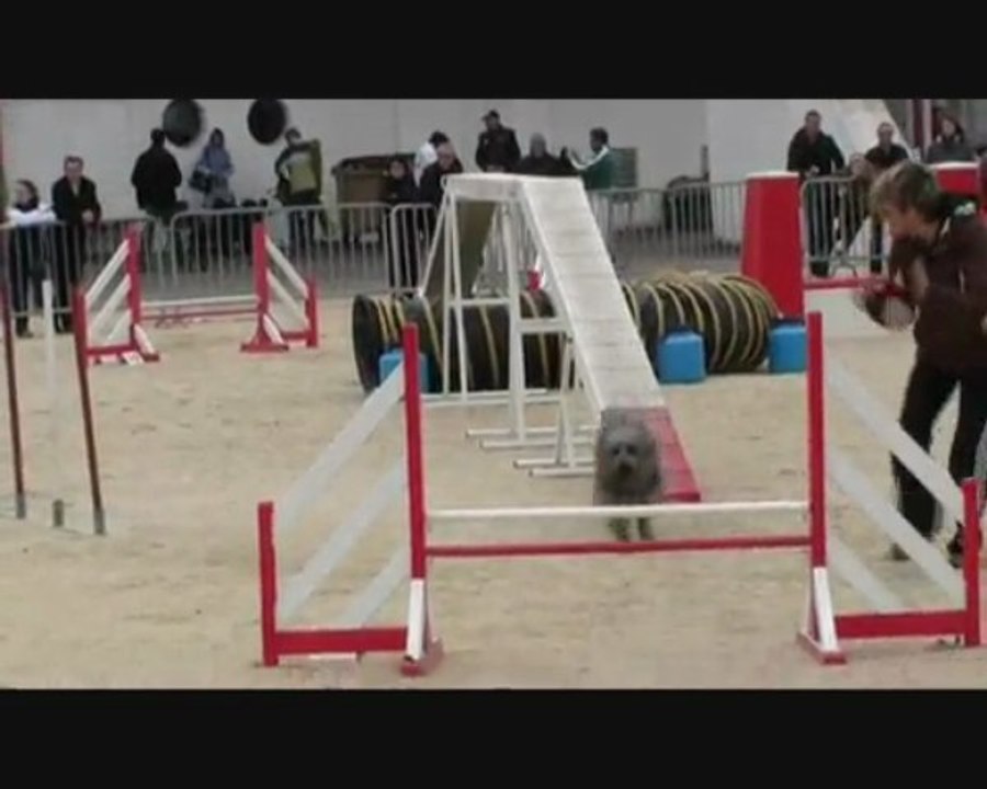 Buck Agility Martigues