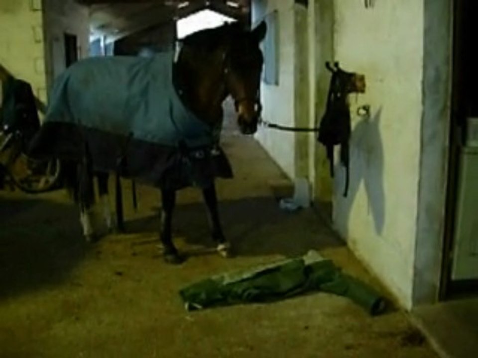 Quazac en attendant la véto