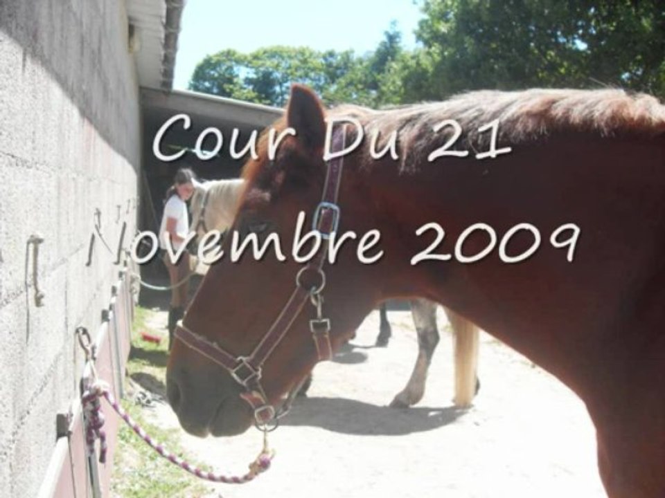 Moi Et Pirate 10 ème Cour