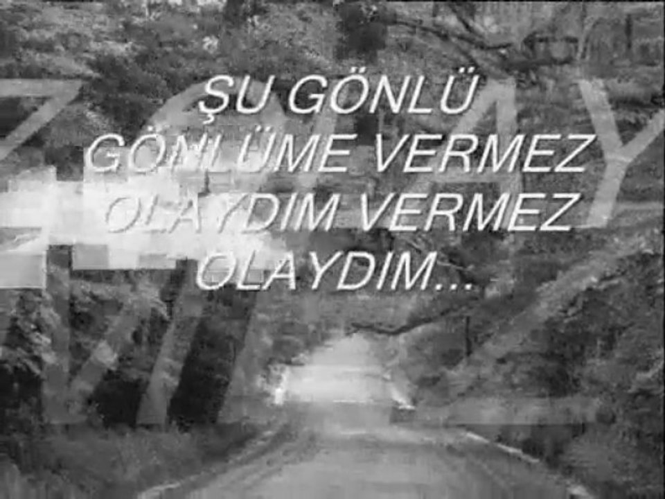 ömer yaşar. seninle yolumuz ayrıldı (türkü)