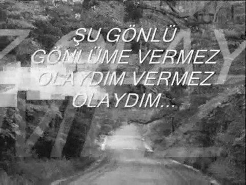 ömer yaşar. seninle yolumuz ayrıldı (türkü)