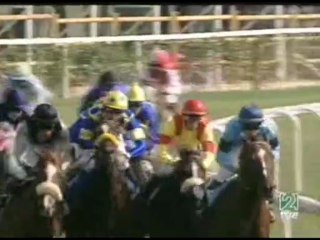 2006.09.24, nº 380 LZ (Expansion, 3+) Valiant Wings