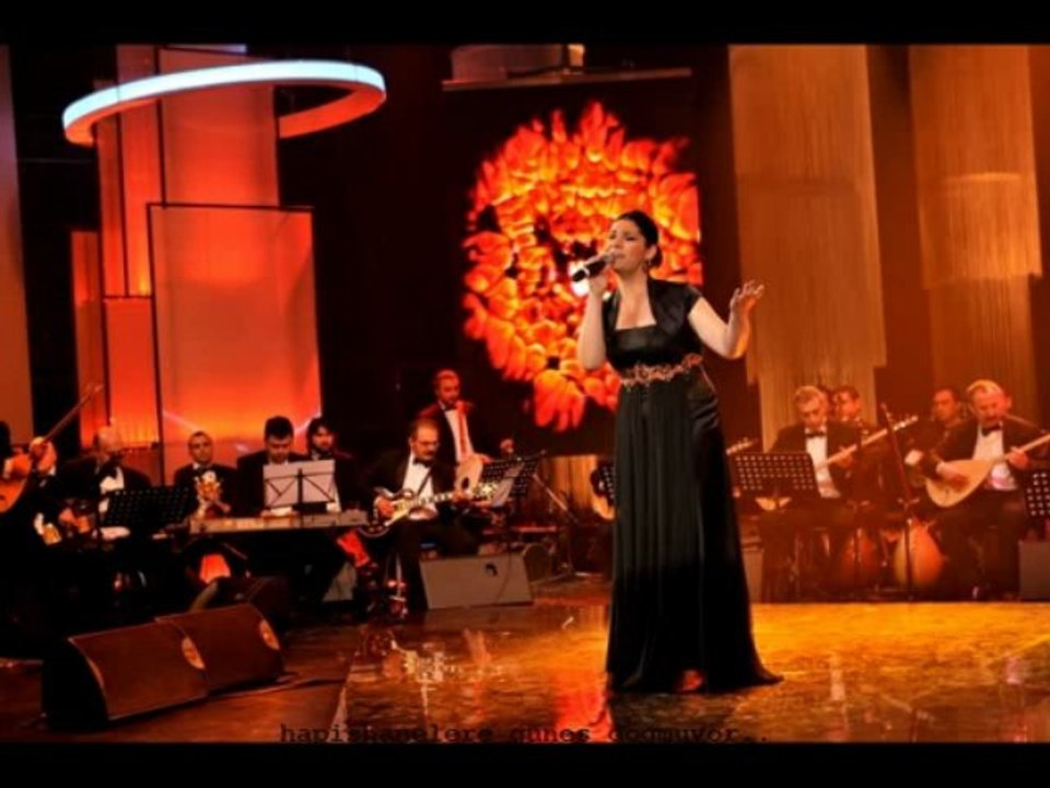 Aslı Gökçe / Hapishanelere Güneş Doğmuyor..