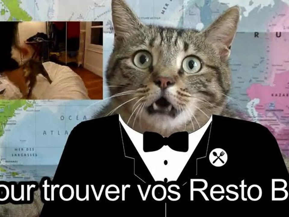 Chat qui Parle - Resto Bio