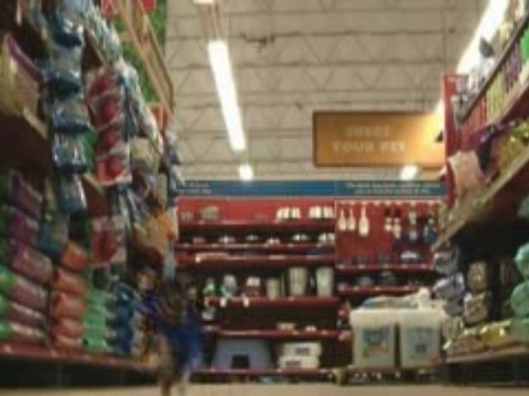 Wally on the Run: Badger