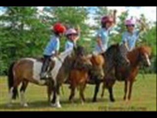 Le cheval et les enfants