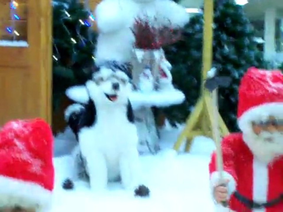 NOEL ET SES REVES
