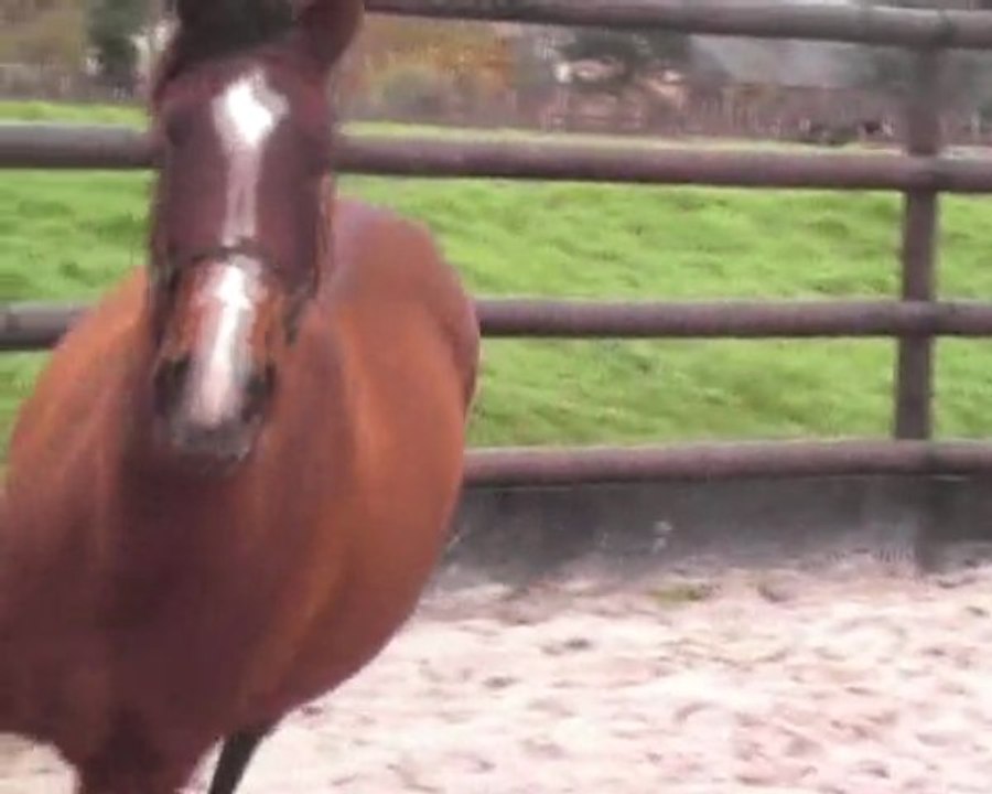 Rythmique de Beausse liberté décembre 2009