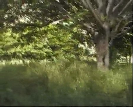 Hawaii 2009 Kualoa Ranch (2/5) Legends & Legacy Tour