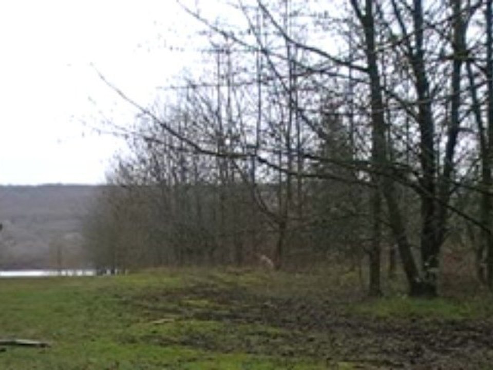 MOV04E