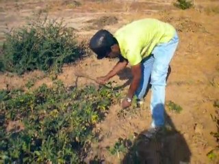 DOUBOUT EXISTE  POUR L'ACTION ET PARLE PAR L'ACTION