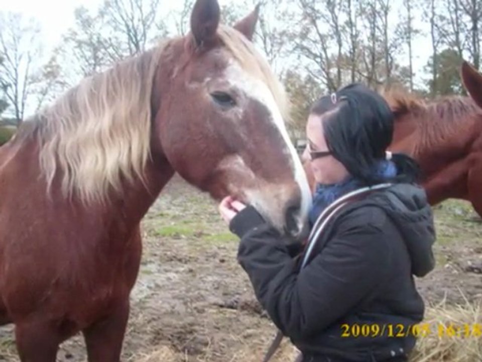 Caline and grady