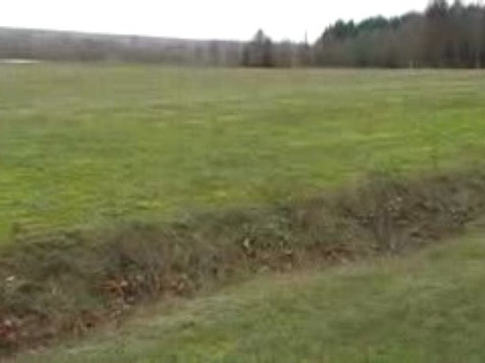 MOV049