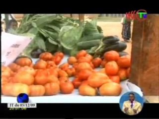 Foire des fruits et légumes à Ouesso