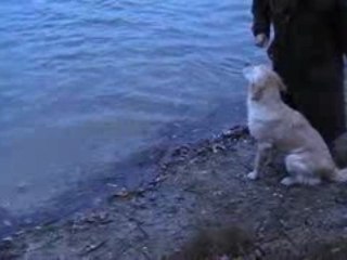 Sortie d'eau daika 1