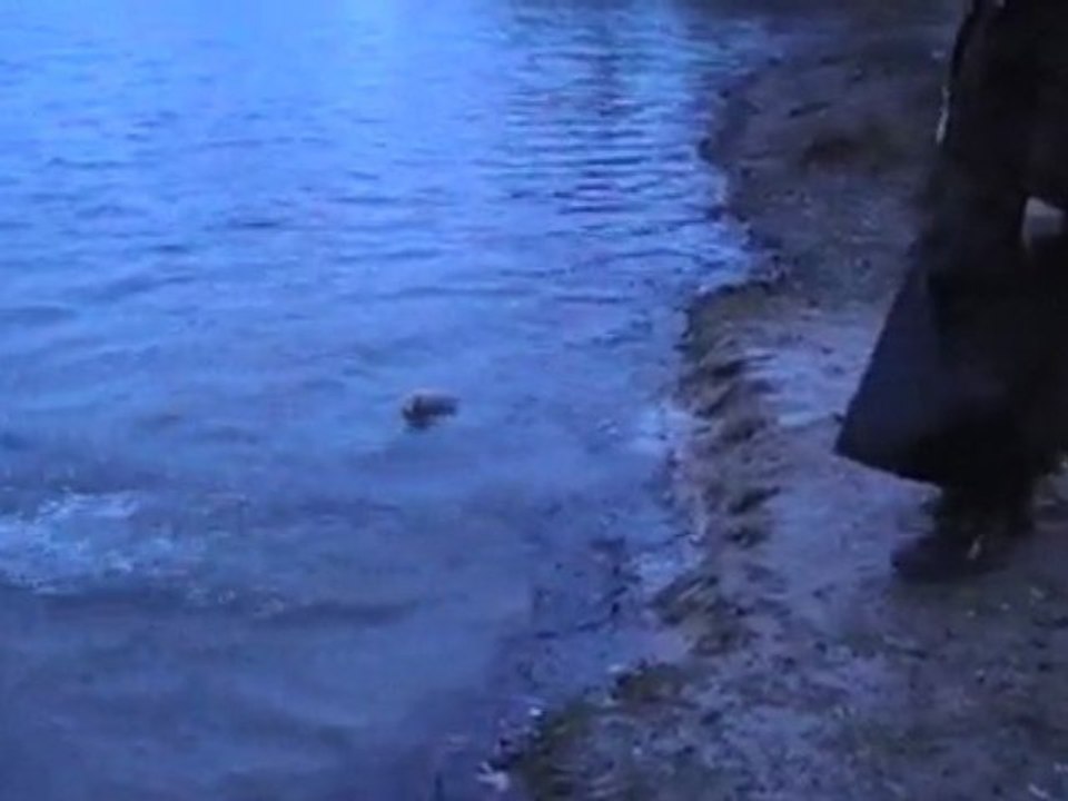 MOV052