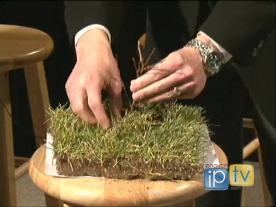 Attorney Michael Robinson performs the Livery Of Seisin ...