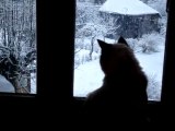Eole regarde tomber la neige