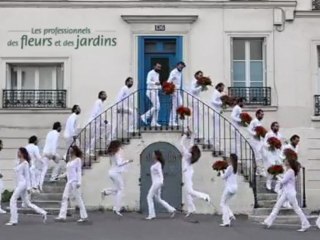 Demain, c'est la Sainte-Fleur