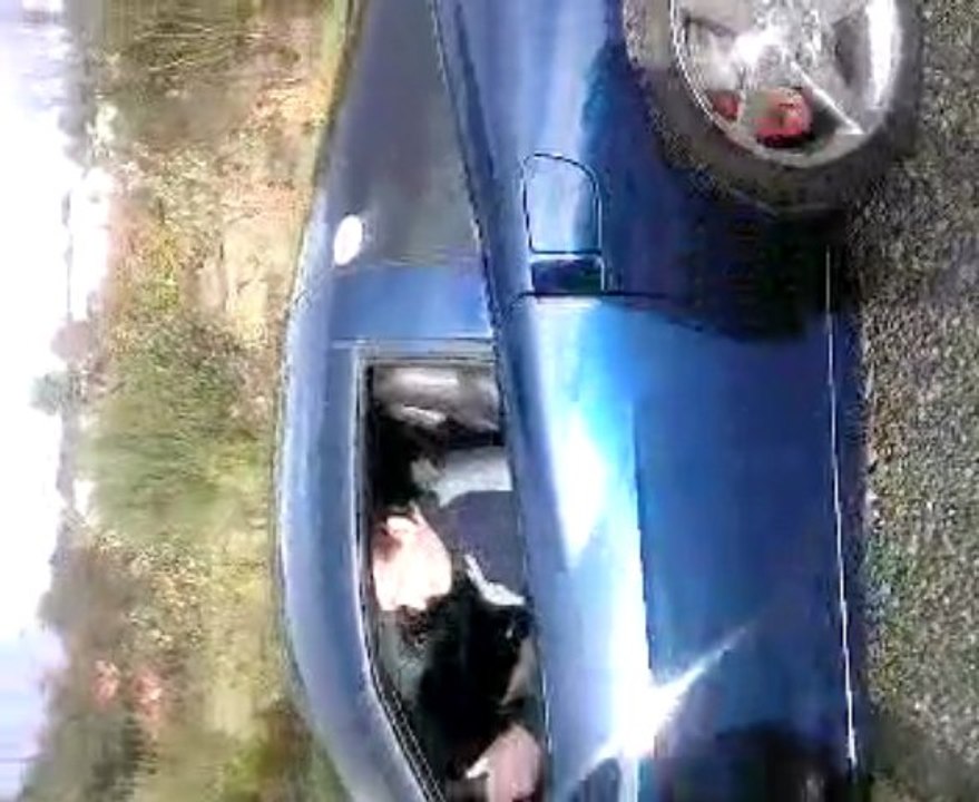 corvette C6 445ch