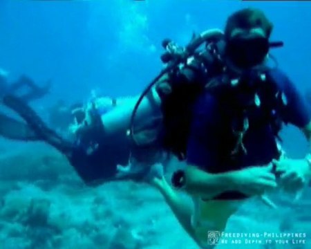 Freediving in Palau, Mikronesia with Herbert Nitsch