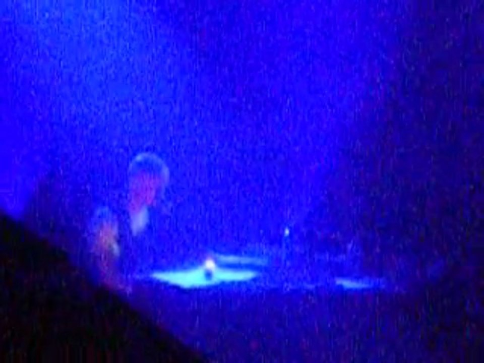 emmanuel moire 2009 017