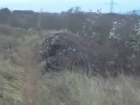airsoft partie du 29/11/2009 Spetznaz