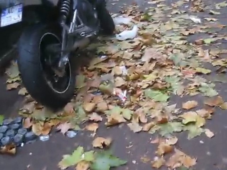 Aux couleurs de Clichy... (2)