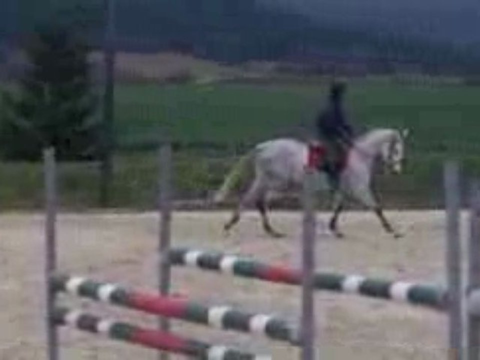 light de monlioux galop