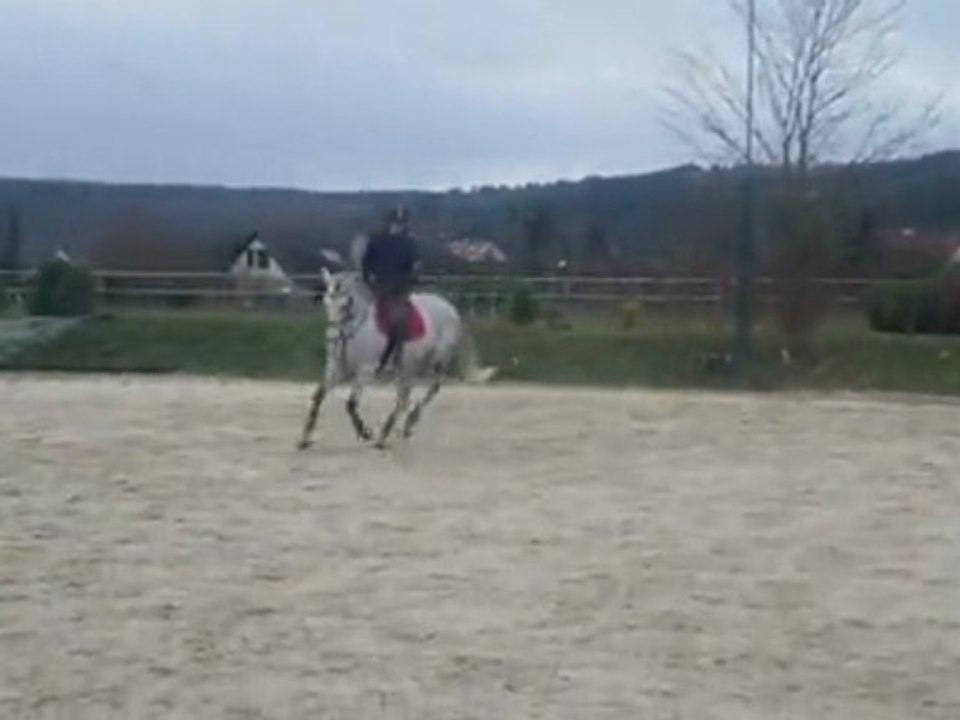 light de monlioux galop main gauche
