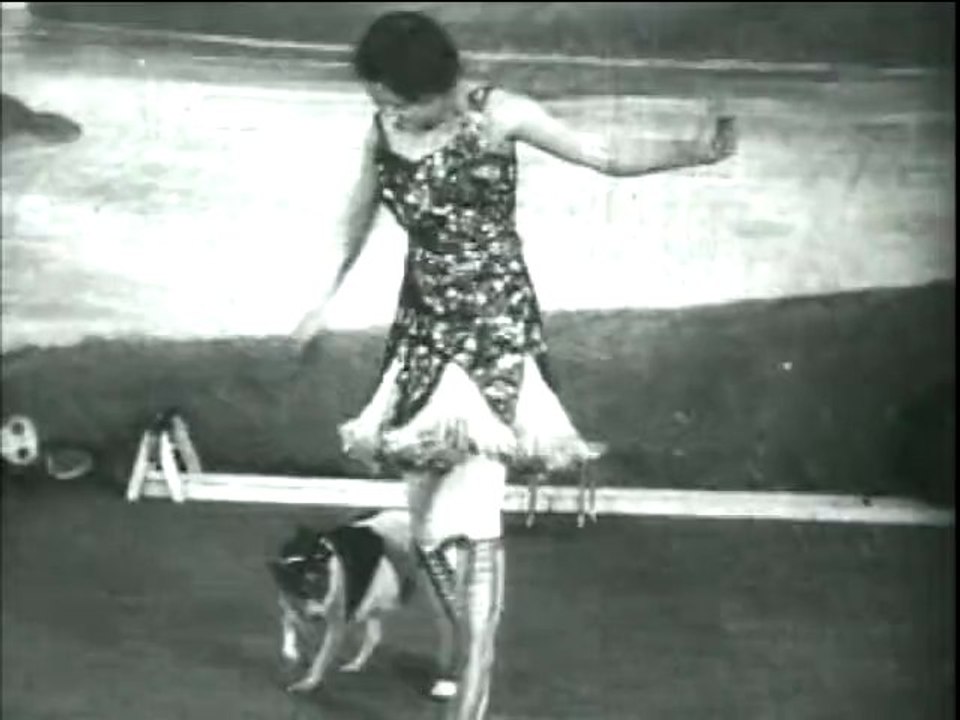 Steve Martin Presents"Steve Martin's 'Wally on the Run'"