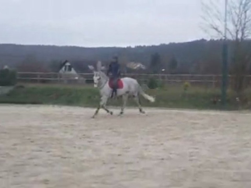 light de monlioux trot