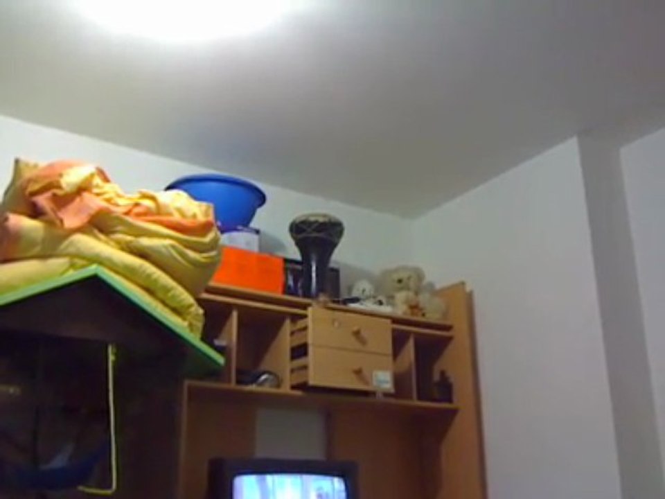 nutty mon ecureuil de corée parcours de santé