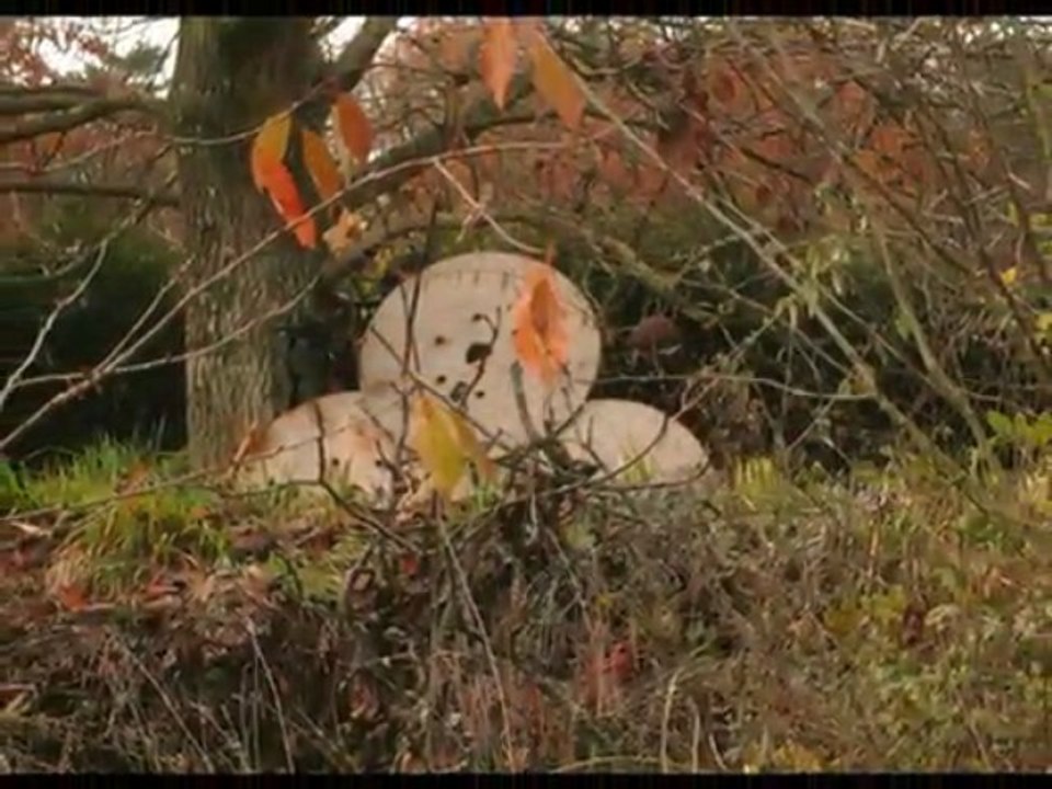 partie saverne 15.11.2009