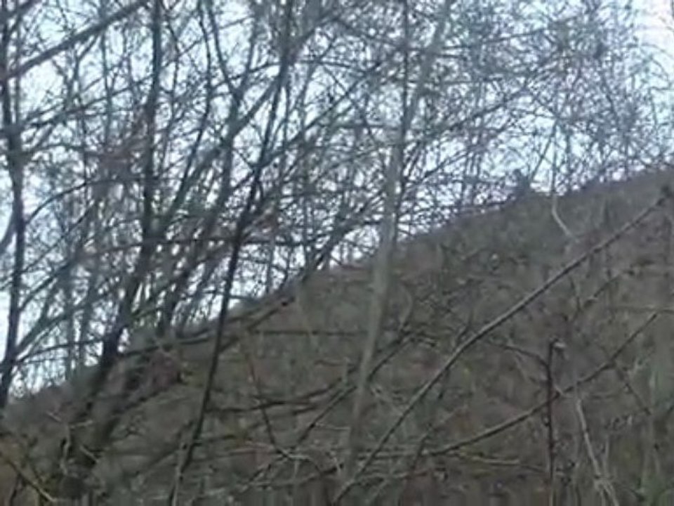 airsoft partie du 29/11/2009 spetznaz