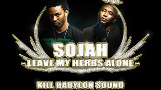 Sojah - Leave my herbs alone - Kill Babylon Sound Dubplate
