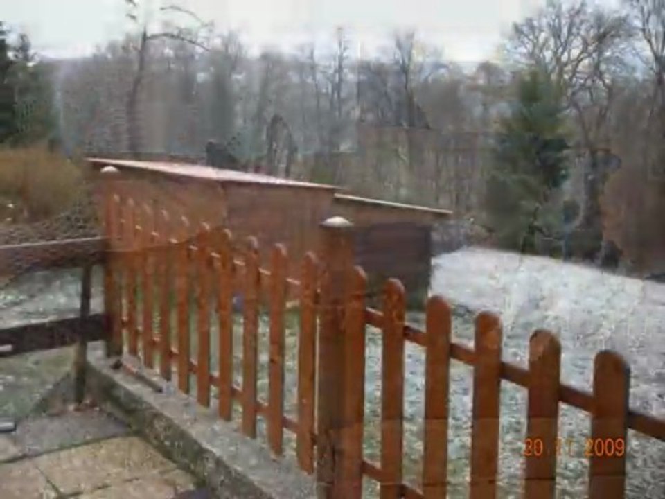 Cash du Domaine Des Sphinx Noirs et mimi