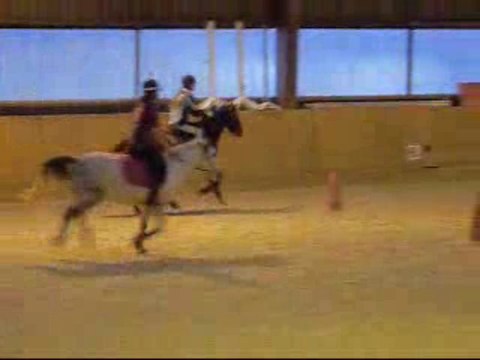 petit president 29 novembre 2009 pony games