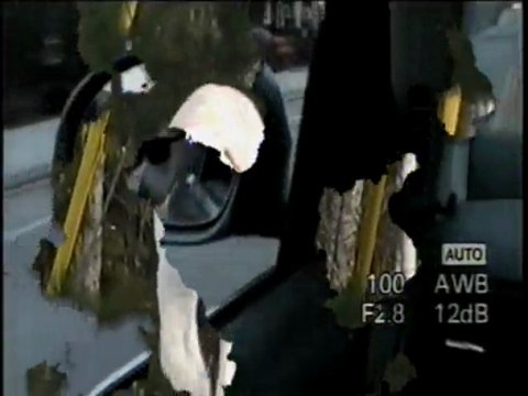 Wally (cool LEON) on the Run