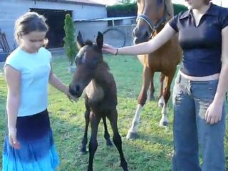 Pour donner le sourire