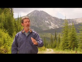 Ryan Reynolds joins forces with the NCC - A Force For Nature