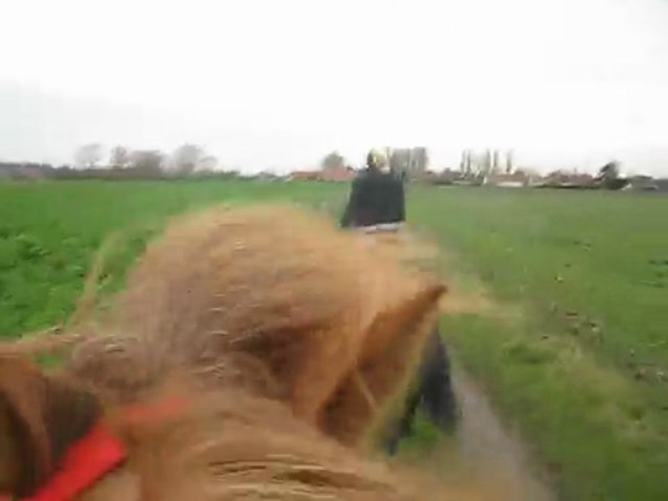 au galop