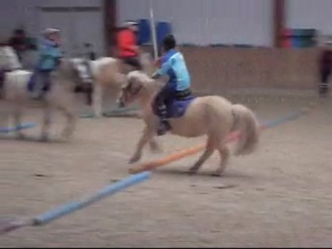 5 drapeaux 29 novembre 2009 pony games