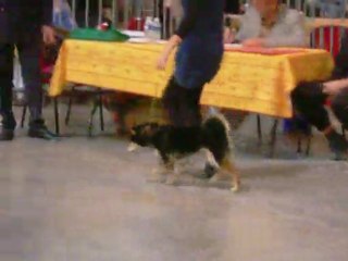 expo martigues 2009